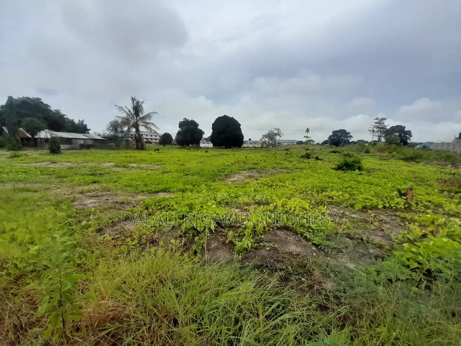Kiwanja Kinauzwa Kigamboni Kisota