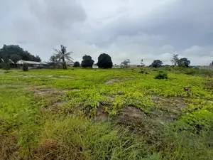 Kiwanja Kinauzwa Kigamboni Kisota