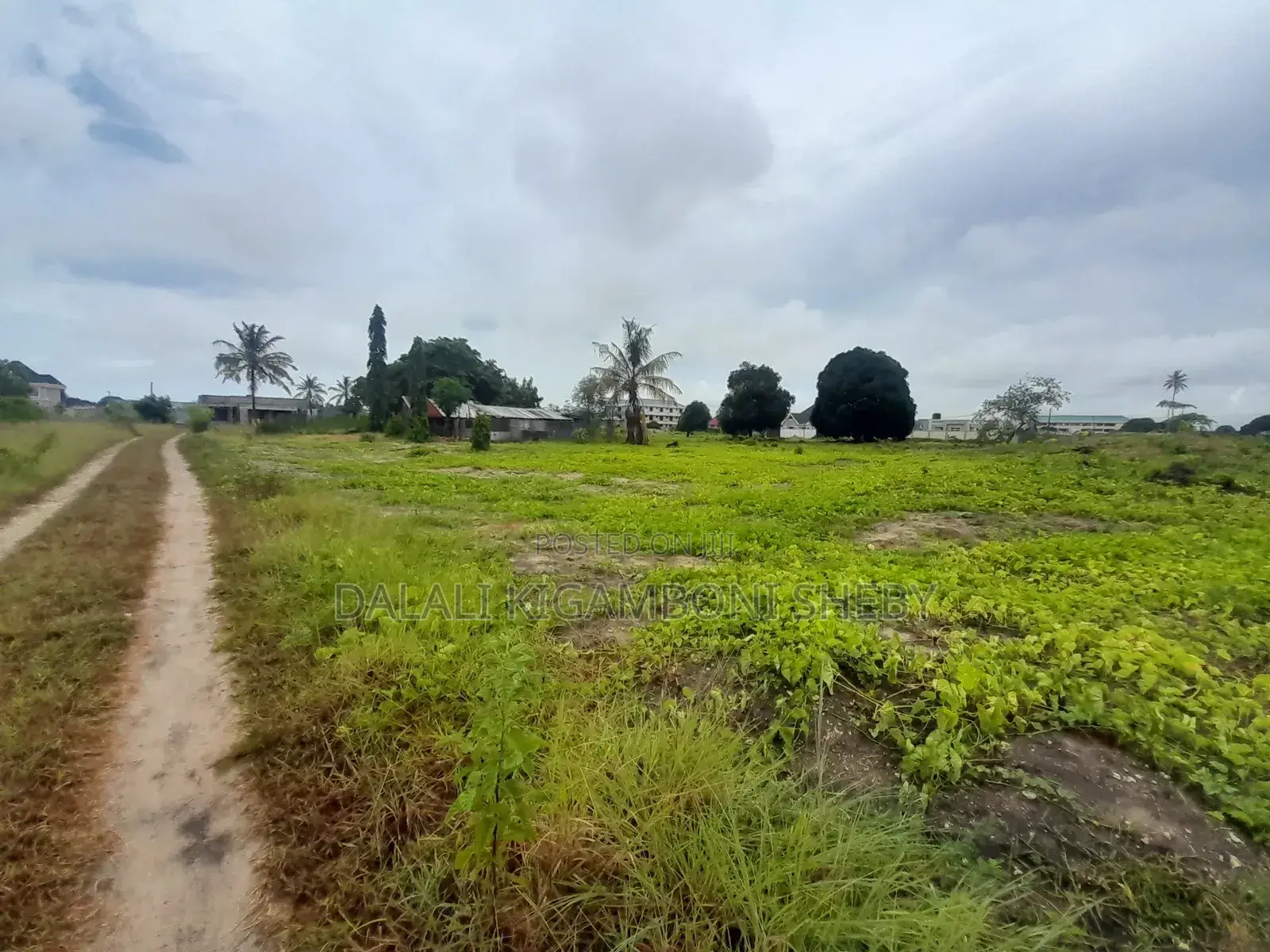 Kiwanja Kinauzwa Kigamboni Kisota