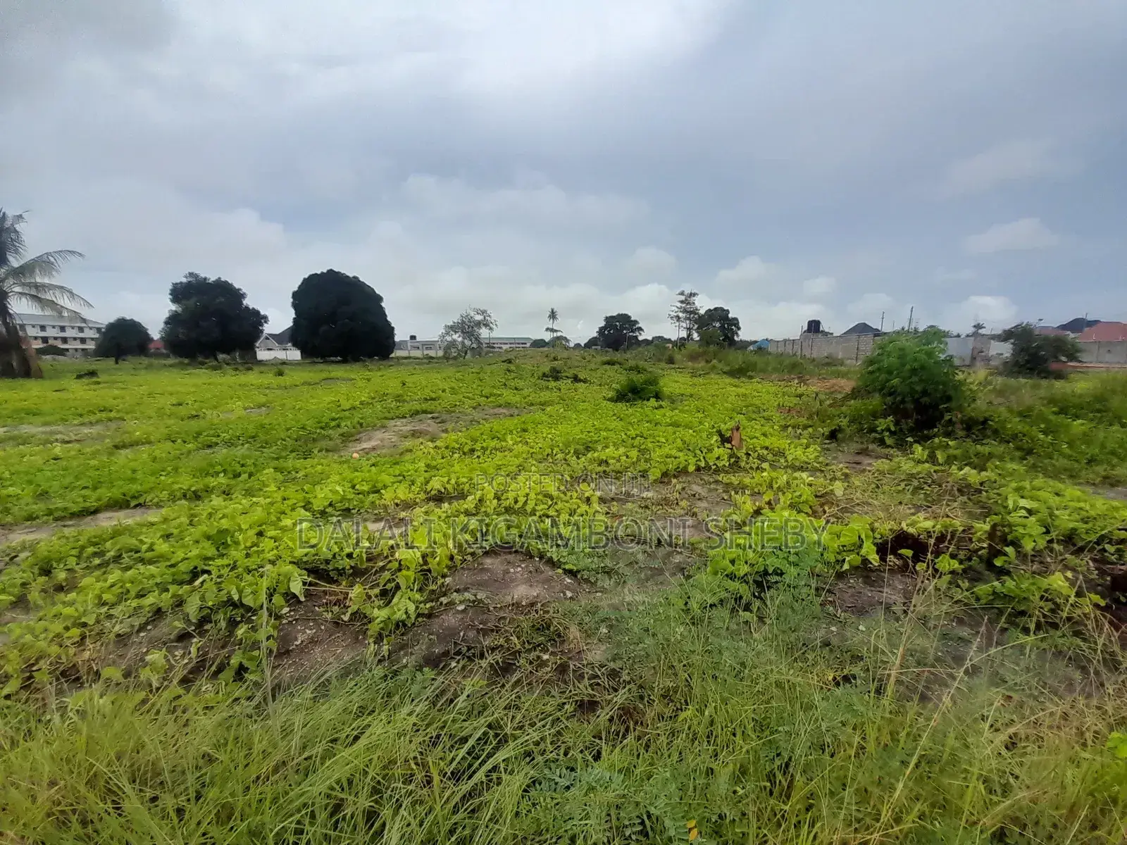 Kiwanja Kinauzwa Kigamboni Kisota