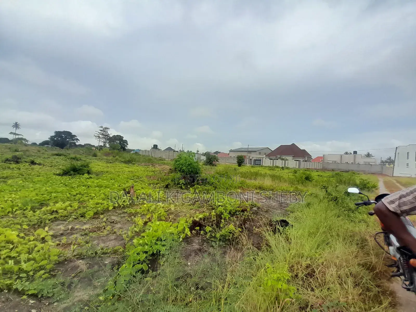 Kiwanja Kinauzwa Kigamboni Kisota