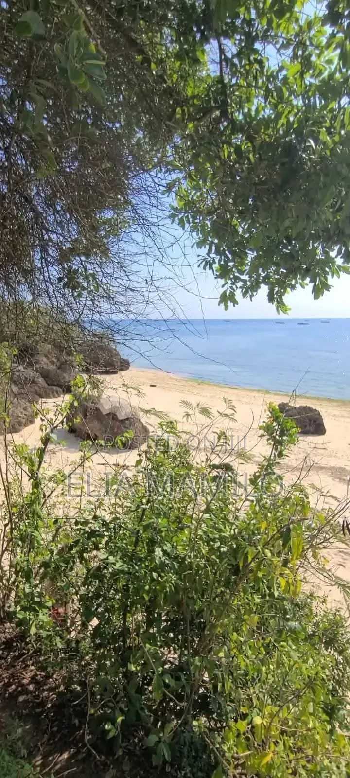 Beach Plot for Sale in Zanzibar Mangapwani