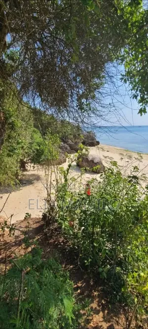 Beach Plot for Sale in Zanzibar Mangapwani