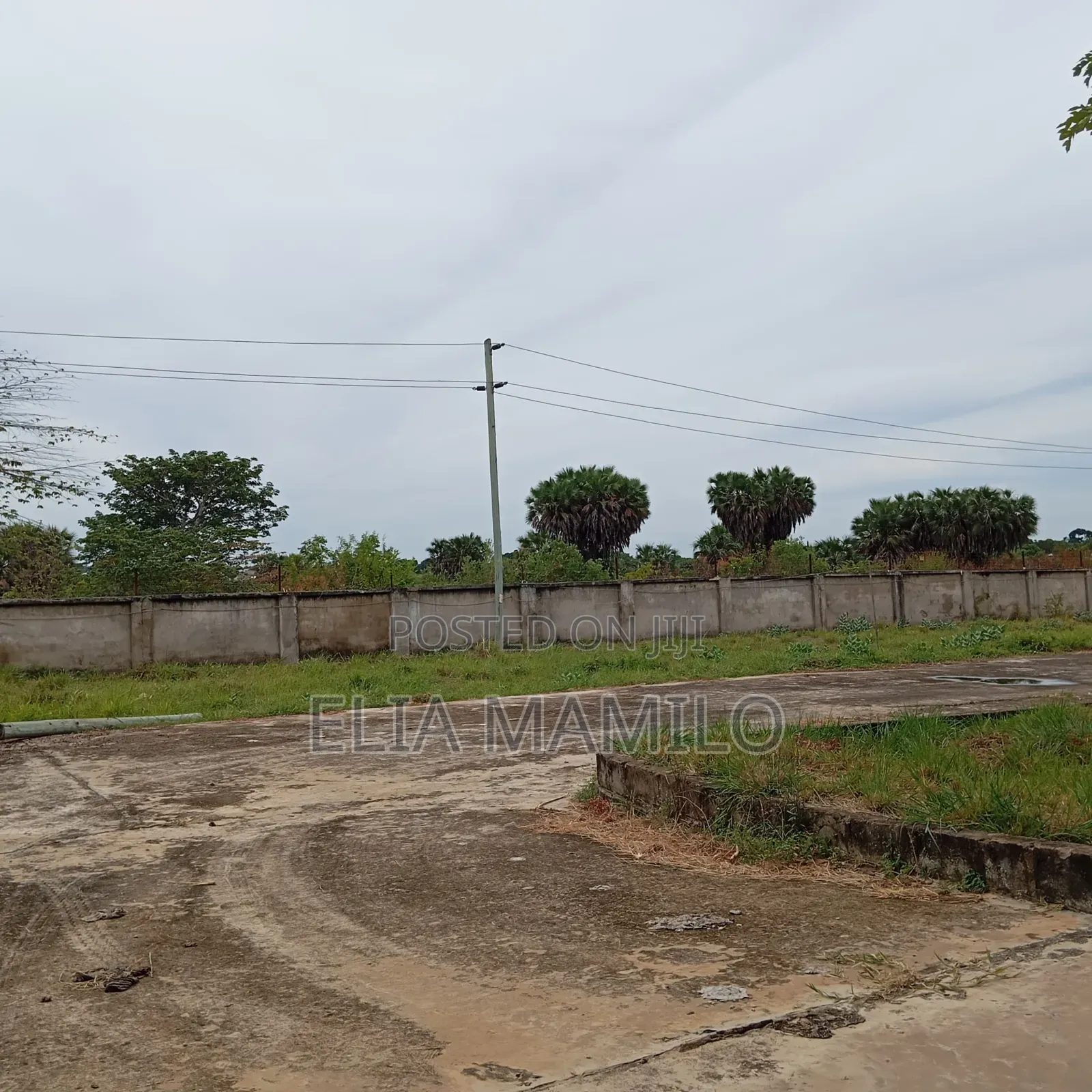 Steel Factory for Sale, Kiwanda Cha Nondo for Sale