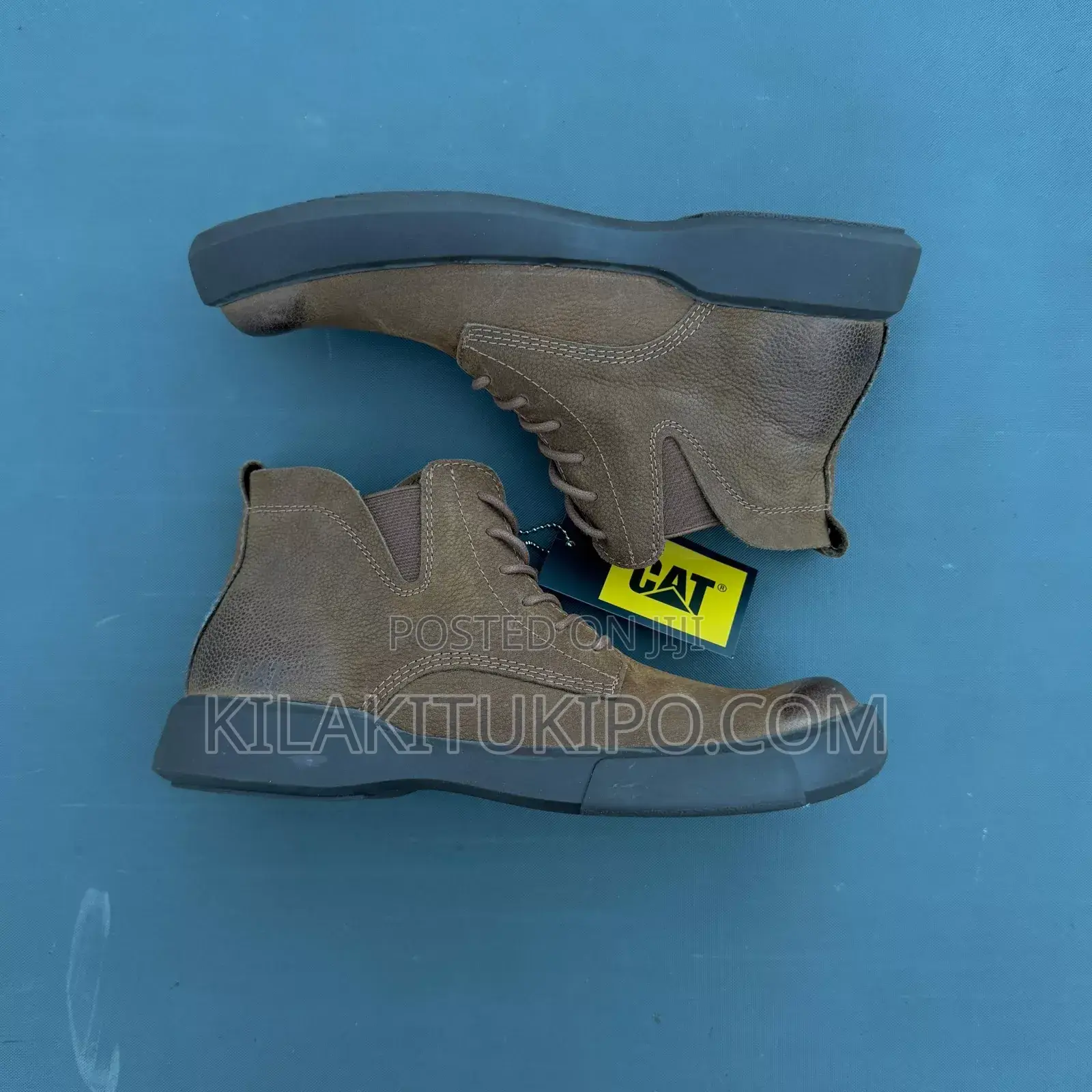 Cat Boot 2025