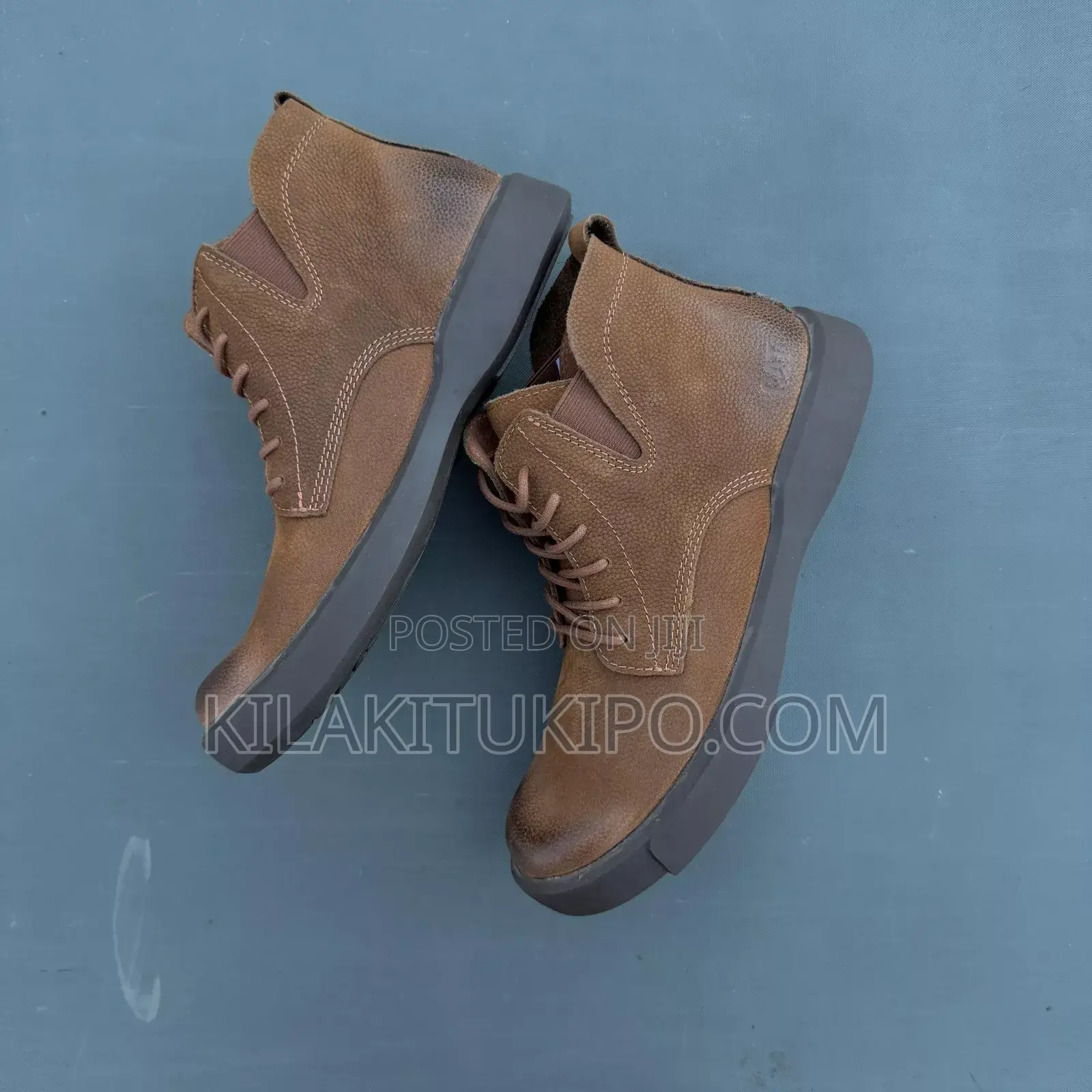 Cat Boot 2025
