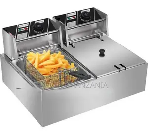 Europe Strong Electric Fryer 12l