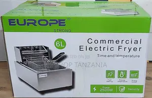 Europe Strong Electric Fryer 6l