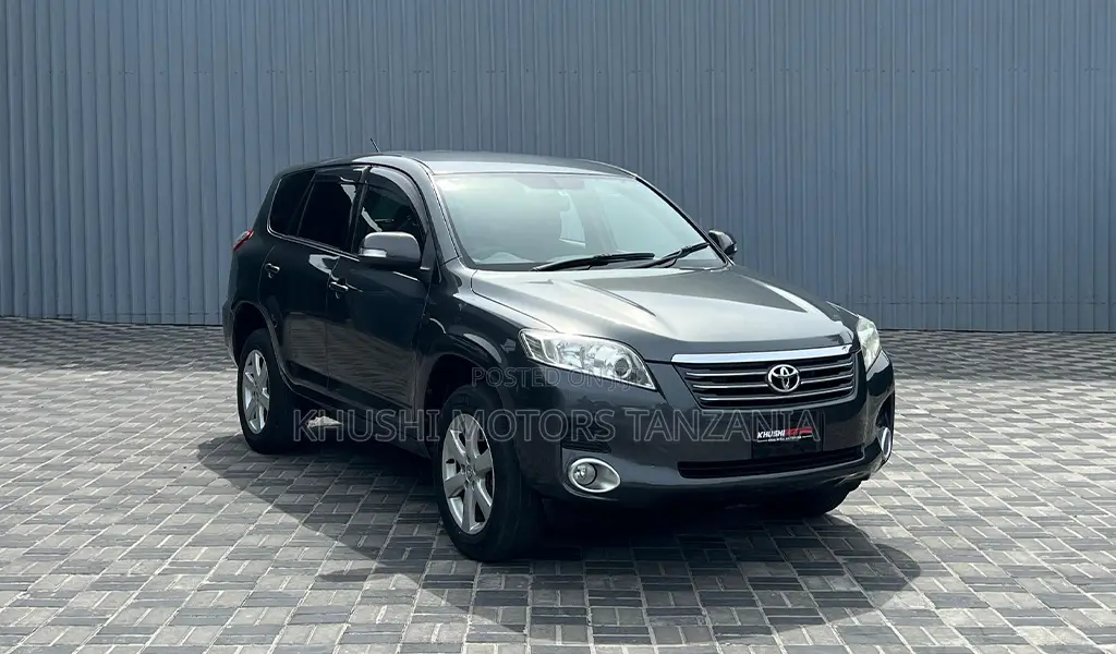 Toyota Vanguard 2009 Gray