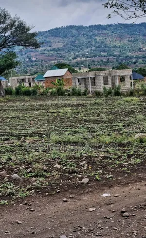 New Project Maji Ya Chai