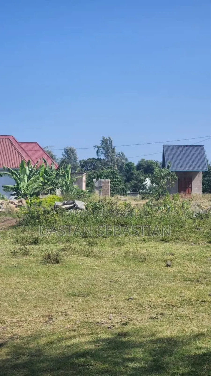 Kisongo Kumenoga