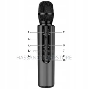 KTV Sound Effect Portable Karaoke Microphone