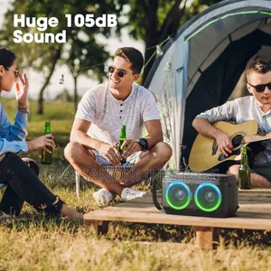 W-King T9-2 - Party Speaker With One Microphone 160w