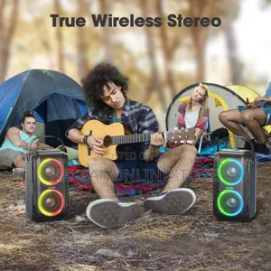 W-King T9-2 - Party Speaker With One Microphone 160w