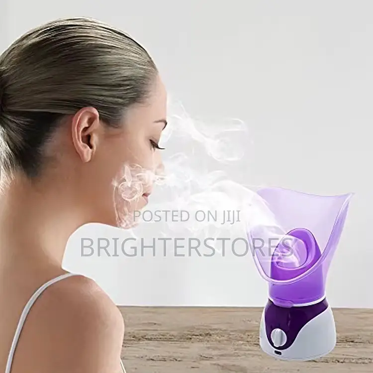 Portable Facial Steamer