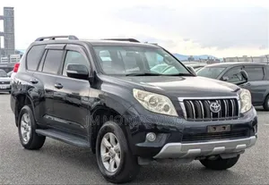 Toyota Land Cruiser Prado 2010 Gray