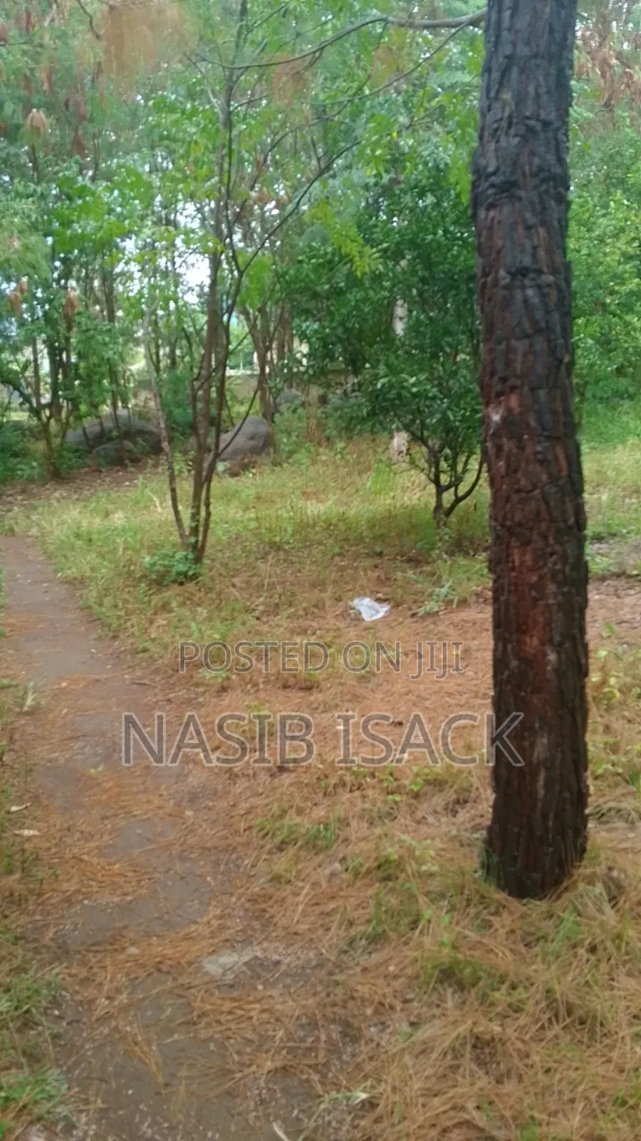 Kiwanja Nyegezi Majengo