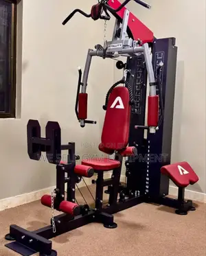 Homegym All in One Exercise Machine