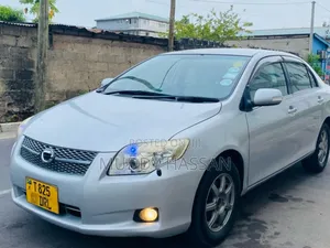 Toyota Axio 2007 Silver