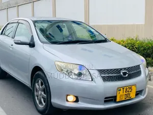 Toyota Axio 2007 Silver