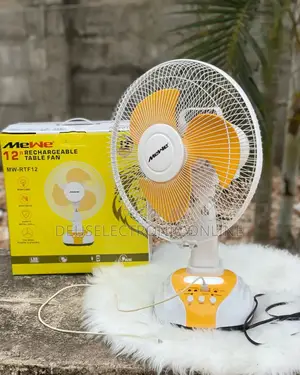 12"Rechargeable Stand Fan