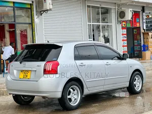 Toyota Corolla RunX 1.5 X AWD 2004 Silver