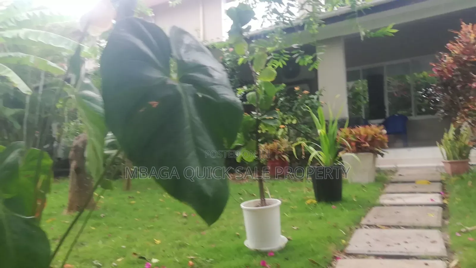 Furnished 3bdrm Apartment in Oyster Bay, Mikocheni for rent