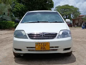Toyota Corolla 2003 White