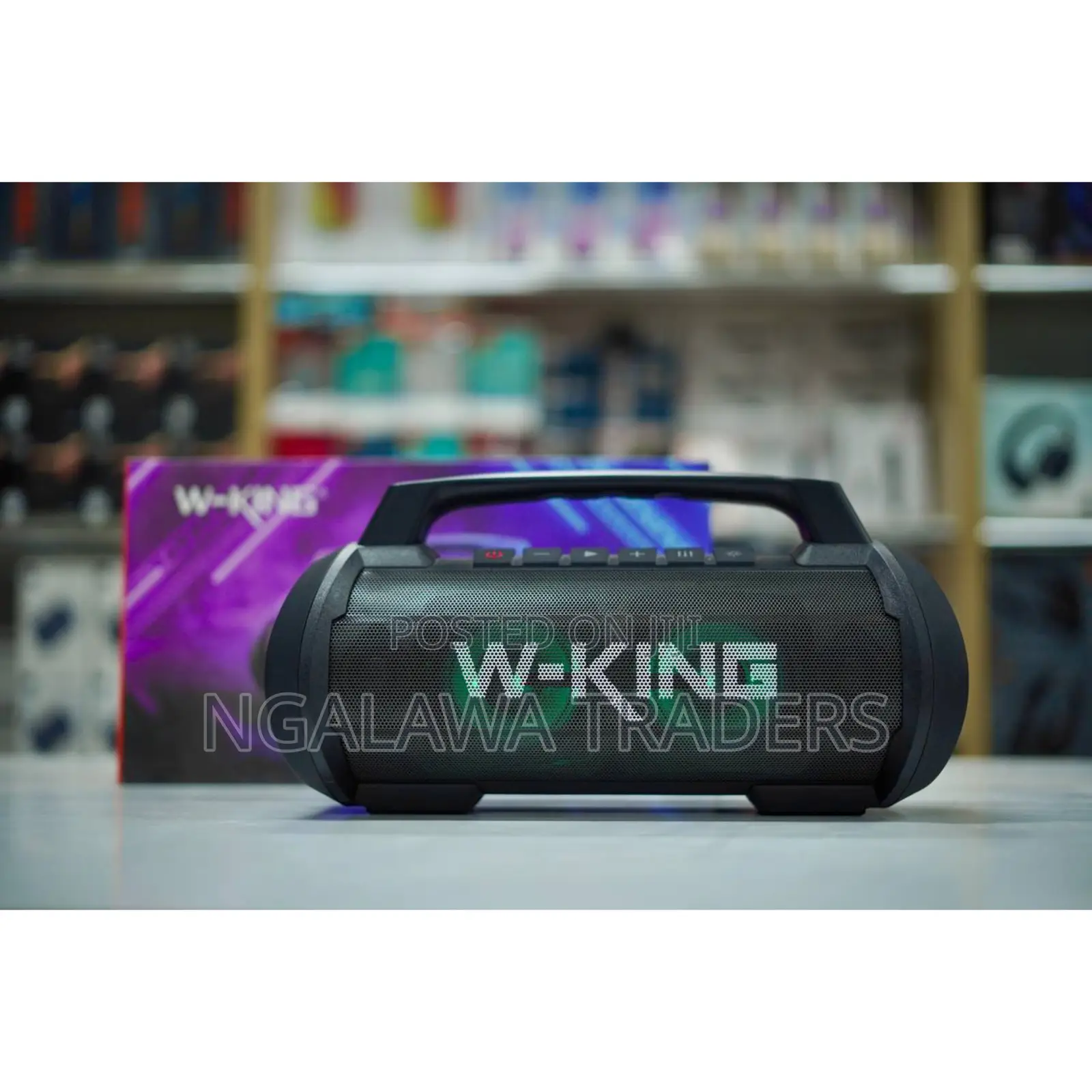W-King D10 - 70w Portable Speaker