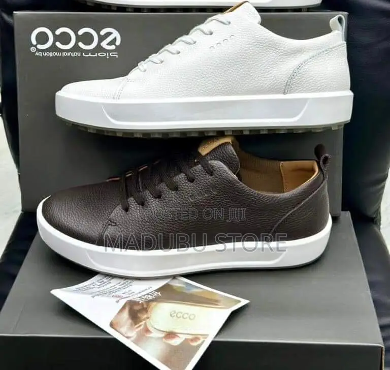 Ecco Shoes for Men