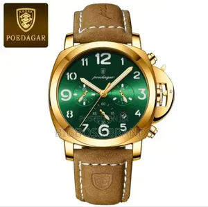Poedagar High Luxury Watch