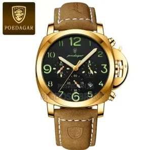 Poedagar High Luxury Watch