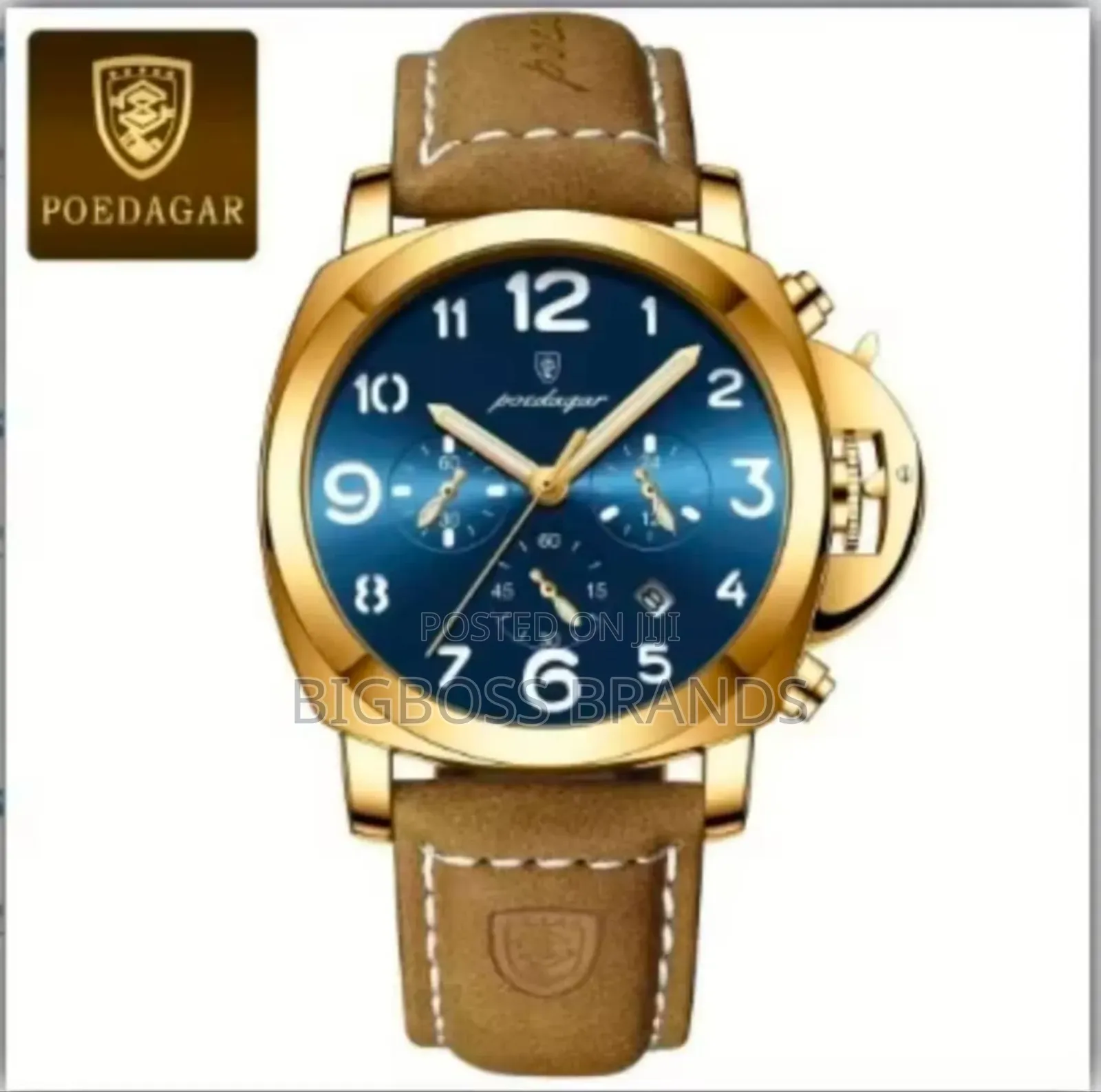 Poedagar High Luxury Watch