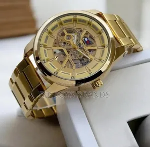 Automatic Tommy Hilfiger (Mechanicalwatch)