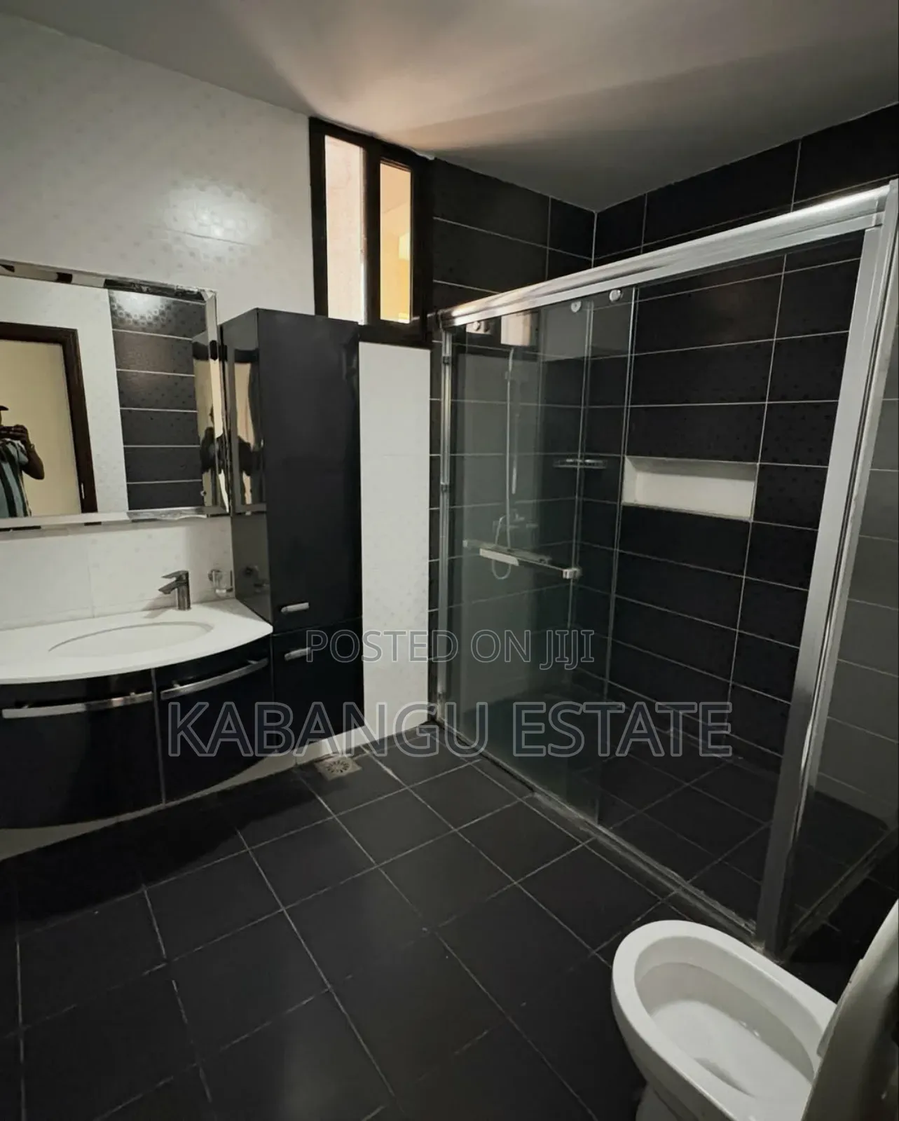 Furnished 3bdrm Apartment in Oysterbay for rent