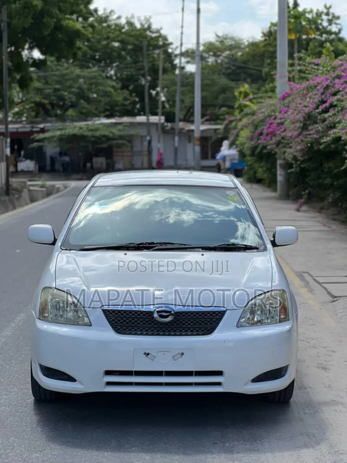 Toyota Allex 2004 Pearl