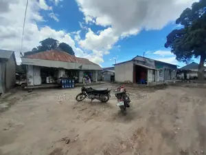 Eneo Linagusa Lami Linauzwa Kigamboni Full Shangwe