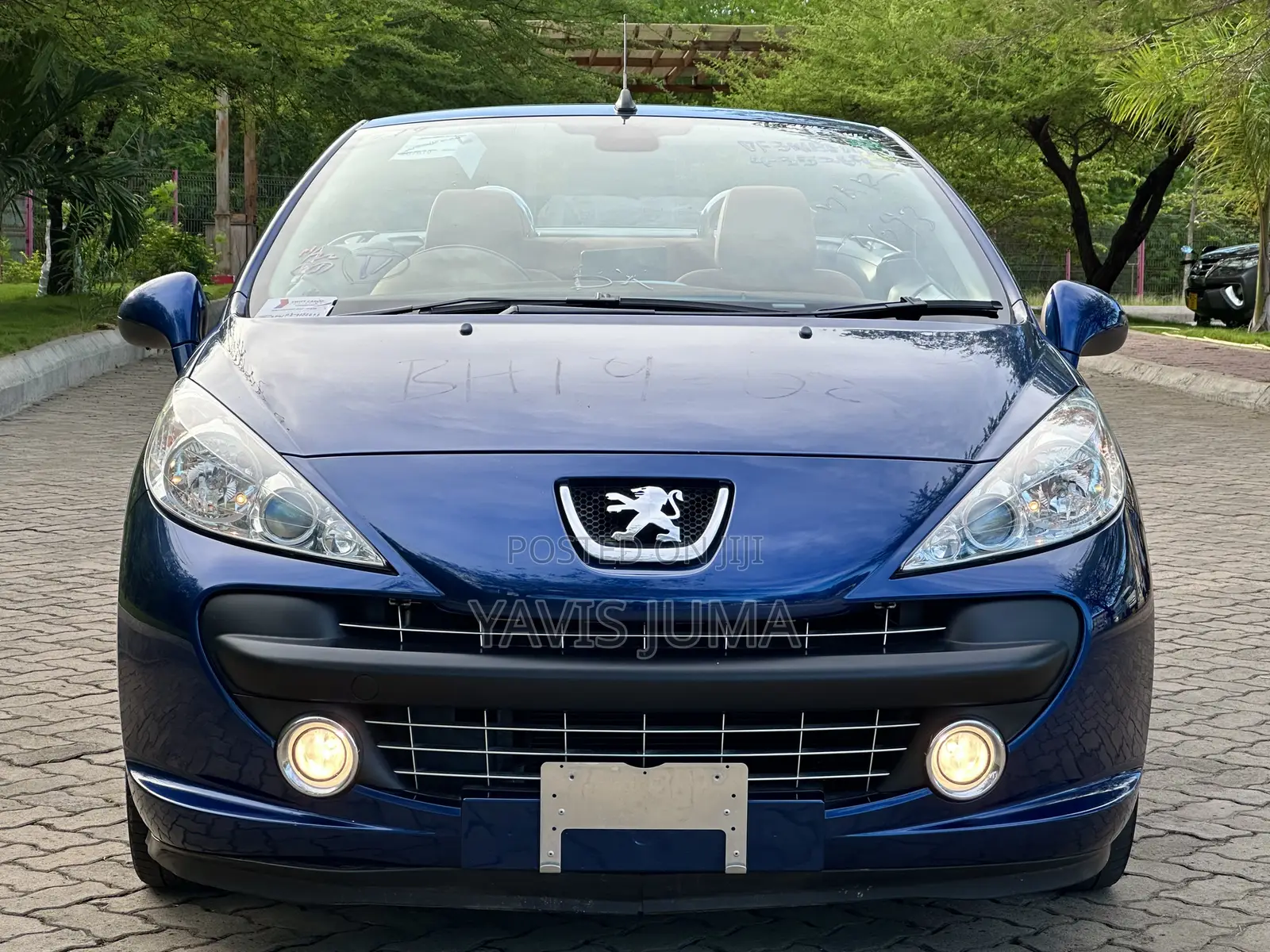 Peugeot 207 2008 Blue