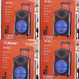 Rising Speaker Rs-1213