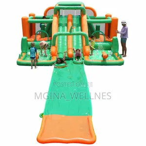 Doctor Dolphin Inflatable Bounce House Water Slide.