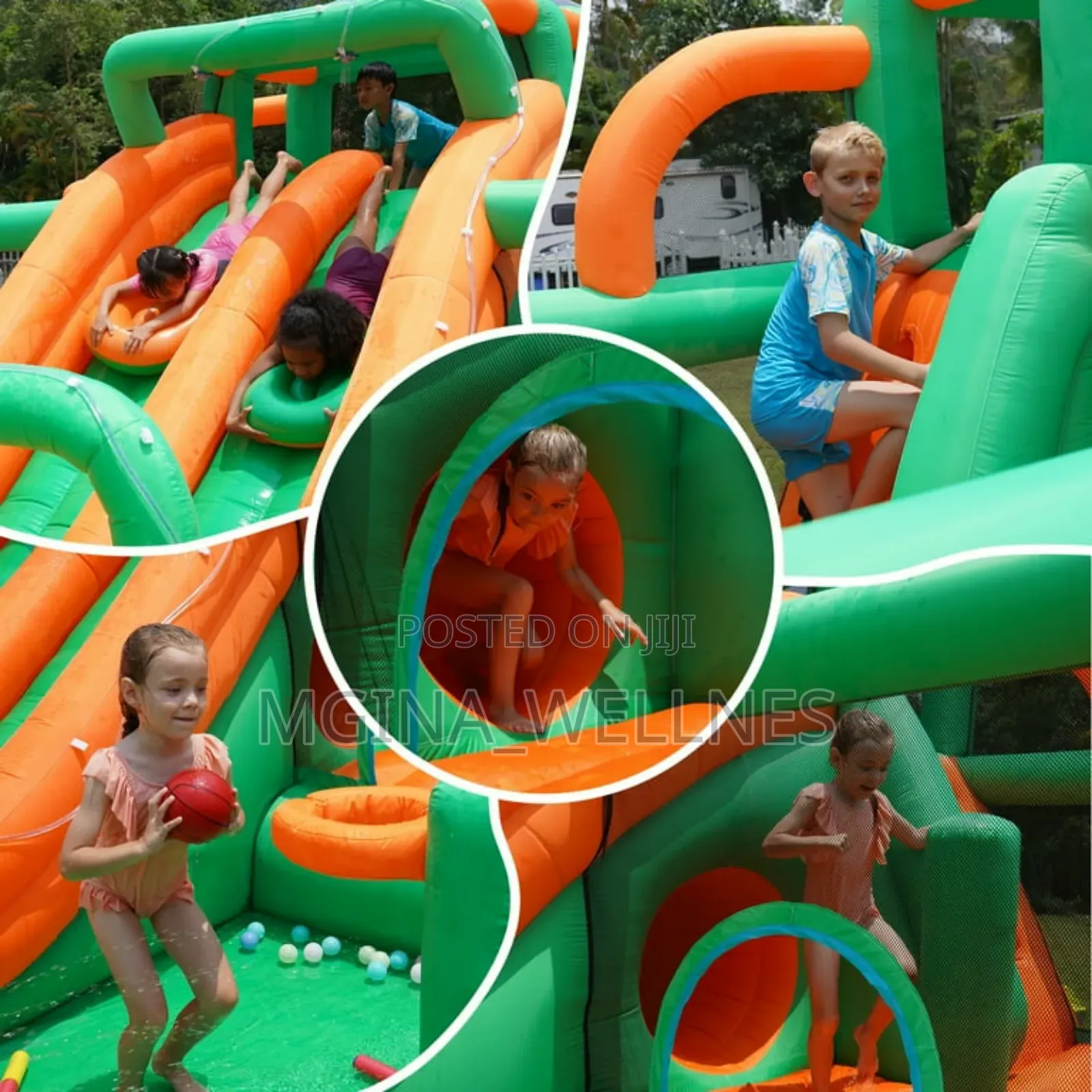 Doctor Dolphin Inflatable Bounce House Water Slide.