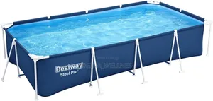 Bestway Steel Pro Above Ground Pool,