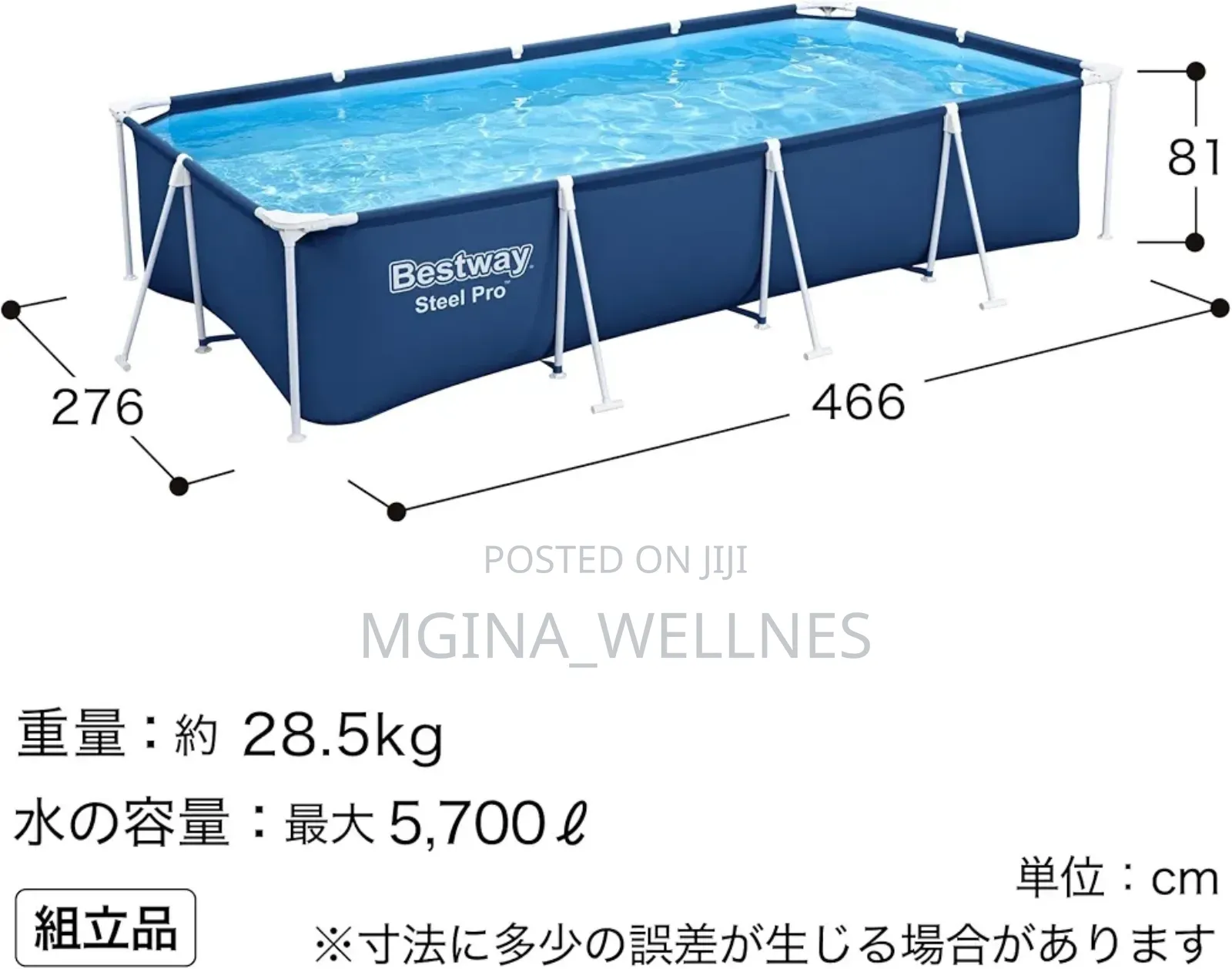 Bestway Steel Pro Above Ground Pool,