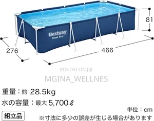 Bestway Steel Pro Above Ground Pool,