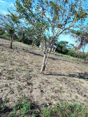 50 Acres Zinauzwa Kiromo Bagamoyo