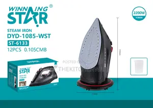 Winning Star Steam Iron 2200w