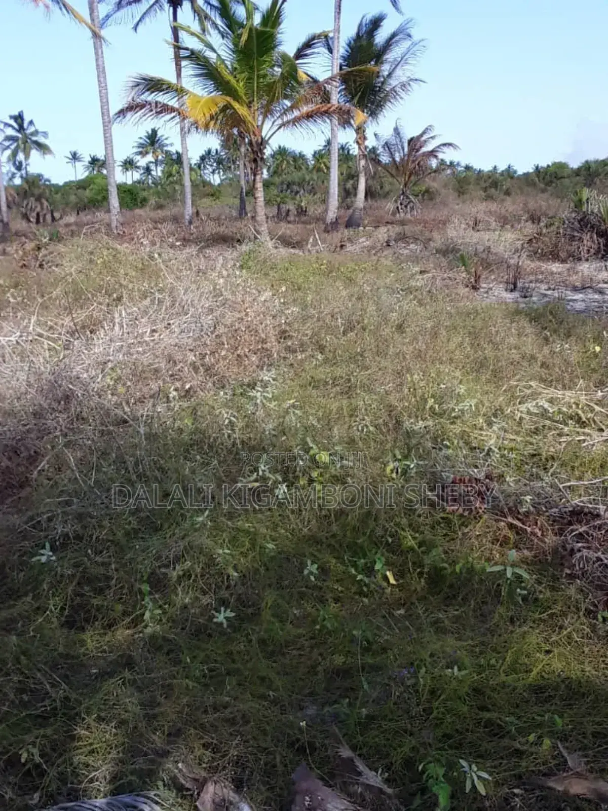 Beach Plot for Sale Location Rufiji