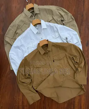 Classic Zara Shirt