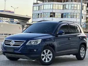 Volkswagen Tiguan 2010 Blue