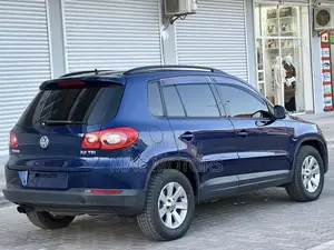 Volkswagen Tiguan 2010 Blue